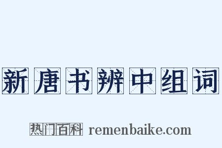 新唐书辨中组词是什么意思的图片